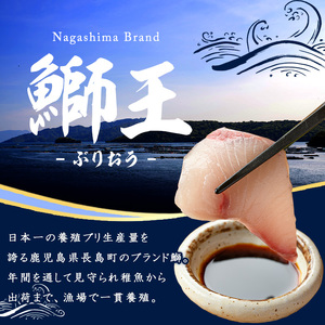 ぶりの王様「 鰤王 」 漬け鰤王（ぶりおう）4袋 8食分 ご飯のお供 漬け丼 で旨味が抜群に味わえる 長島町 特産品 ブランド ぶり 鰤 ブリ 切り身 真空 冷凍 刺身 漬け魚 漬け海鮮 漬け切り身 