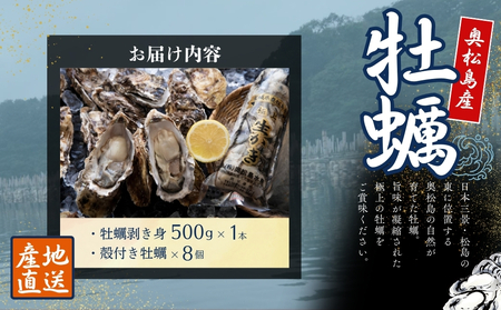 【2025シーズン受付開始！】11月中旬から順次発送予定 奥松島産 極上 カキ詰合せ カキむき身500g1本＋殻付きカキ8個 牡蠣 かき カキ 殻付き牡蠣 剥き身