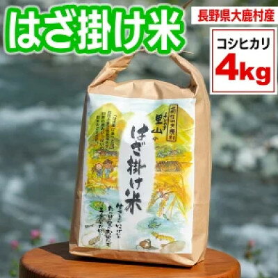 【ふるさと納税】はざかけ米(令和8年度産米)4kg 　白米【1722994】