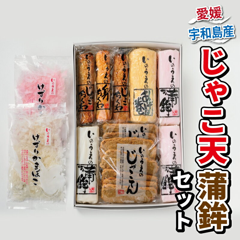 【ふるさと納税】 ＼10営業日以内発送／じゃこ天 蒲鉾 詰め合わせ セット 井上蒲鉾本舗 手押しじゃこ天 10枚 かまぼこ 3本 揚巻 1本 竹輪 3本 けずり蒲鉾 2袋 ちくわ 揚げかまぼこ 冷蔵 小魚 すり身 練り物 惣菜 加工品 特産品 郷土料理 国産 愛媛 宇和島 C024-003002