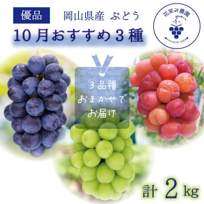 岡山　花笑み農園のブドウ『10月おすすめ 3種』約2kg(3房)優品　3M-2L優【10月～発送】【配送不可地域：離島・北海道・沖縄】【1593511】