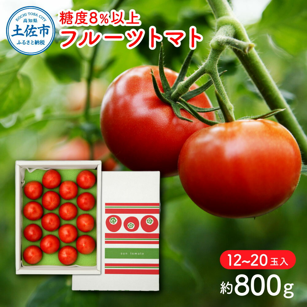 【ふるさと納税】フルーツトマト（約800グラム） 12〜20玉入り 糖度8度以上 フルーツトマト ふるーつとまと とまと トマト 甘い 濃厚 美味しい 箱入り 野菜 料理 サラダ お取り寄せグルメ【ファーム輝】[BQBM002]