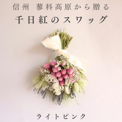 ふるさと納税 茅野市 信州八ヶ岳の麓から贈る 千日紅のドライフラワースワッグM(ライトピンク)