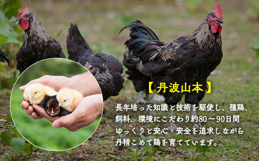 【訳あり 緊急支援】【6回定期便】和牛と地鶏 毎月交互にお届け＜京都亀岡丹波山本×ひら山＞京の肉＆地鶏丹波黒どり・丹波赤どり お楽しみセット≪生活応援 特別返礼品≫◇※2025年2月頃発送予定（初回分