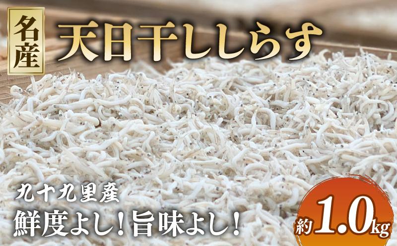 
            天日干ししらす1kg (250gx4P) 国産 九十九里産 自慢の天日干し しらす 天日干し 白子 水産 魚介類 無添加 魚介  海の幸 海 魚  贈答 ギフト プレゼント 贈答 記念日 お祝い 人気 おすすめ 送料無料 ふるさと納税千葉県 旭 飯岡ヤマイチ水産-大納屋- メディア 千葉県 旭市
          