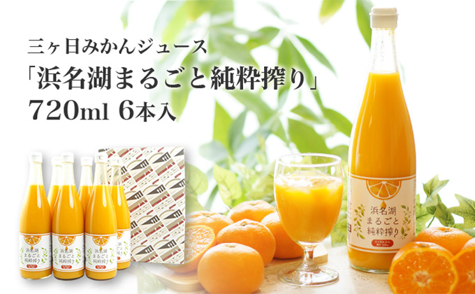 三ヶ日みかんジュース「浜名湖まるごと純粋搾り」720ml 6本【静岡 三ヶ日 みかん ジュース】