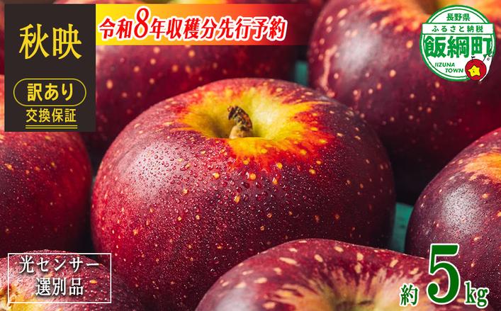 【 感謝りんご / 光センサー選別品 】 りんご 秋映 訳あり 5k