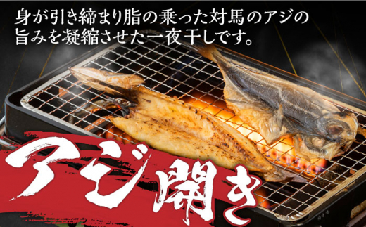 【全6回定期便】対馬 海の幸 干物 セット《対馬市》【対馬地域商社】九州 長崎 海鮮 [WAC028]冷凍 新鮮 魚 イカ あじ 鯵 アジ 剣先いか カマス 穴子 個包装 BBQ 魚介 浜焼き ひもの