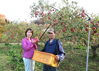 有機肥料栽培　葉とらずサンふじ　上山市産　１０ｋｇ　３６～４０玉　0079-2415