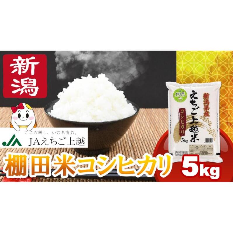 【8月中旬配送】令和7年産  えちご上越米 棚田米 コシヒカリ 5kg 5キロ 上越市 精米 米 コメ おすすめ
