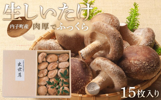 
内子町産 生しいたけ 15枚入【しいたけ きのこ 生椎茸 シイタケ キノコ 茸 椎茸 美味しい 椎茸 なましいたけ シイタケ 大人気 しいたけ 椎茸 しいたけ シイタケ 生しいたけ 生椎茸 野菜 やさい 食品 人気 おすすめ 送料無料】
