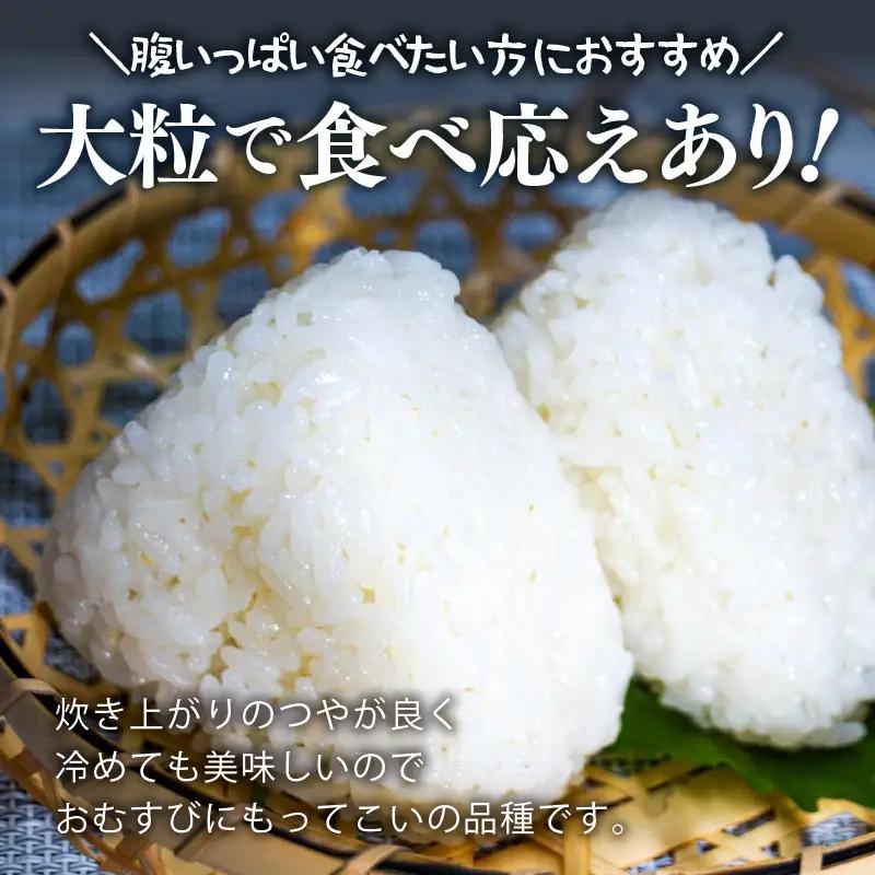 【先行予約】【令和8年産】化学肥料不使用 虹のきらめき精米4kg(真空パック1kg×4袋) ※2026年9月下旬以降順次発送 [aw010-a049]