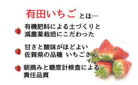 【2025年2月～順次発送】みゆきファーム 有田いちご 1kg お徳用いちご ちょっと小粒（2L～Mサイズ）250g×4パック 朝摘み完熟いちごを即日発送！ / いちごさん F8-8