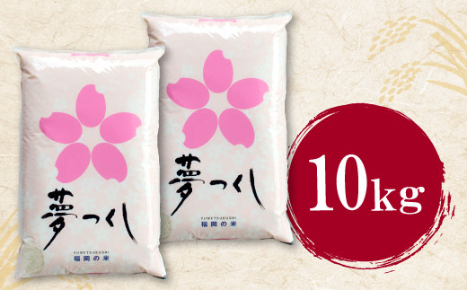 研ぐお米 夢つくし10kg 米 コメ 10kg 箱入り 5kg×2 夢つくし 10キロ 福岡 夢つくし ゆめつくし 手軽 リピート 日時指定 ギフト お中元 お歳暮 コスパ 福岡県限定銘柄 人気 研ぐ