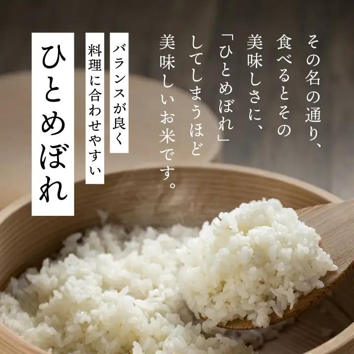 【令和8年先行予約】白米 こしひかり ひとめぼれ 20kg 精米 ブランド米