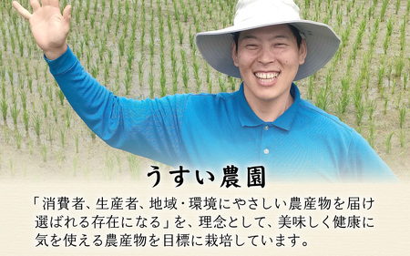 【3ヶ月連続お届け】【農家直送】【令和7年産】いちほまれ 5kg×1袋×3ヶ月（計15kg） 特別栽培米 福井 ブランド米 令和七年 5キロ 令和7年