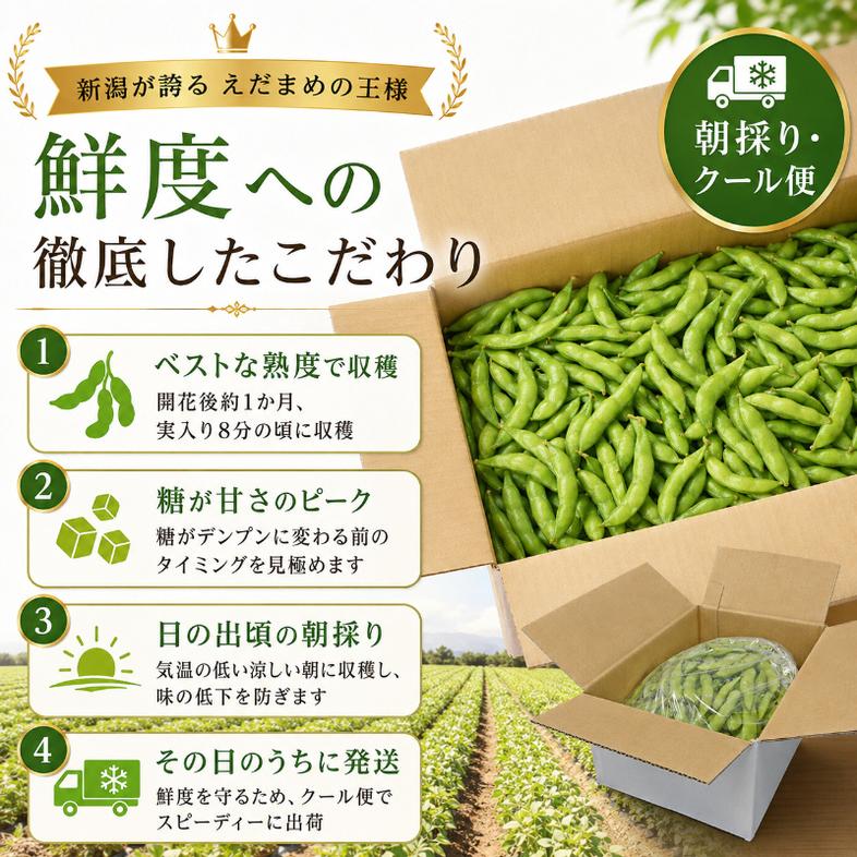 くろさき茶豆3kg  【7月下旬～9月下旬発送】  新潟県黒埼産 朝どり生枝豆