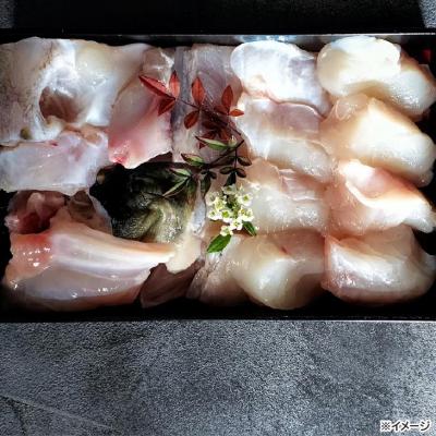 ふるさと納税 南あわじ市 熟成とらふぐ【冬の王】(四人前)配送:2月28日まで |  | 03