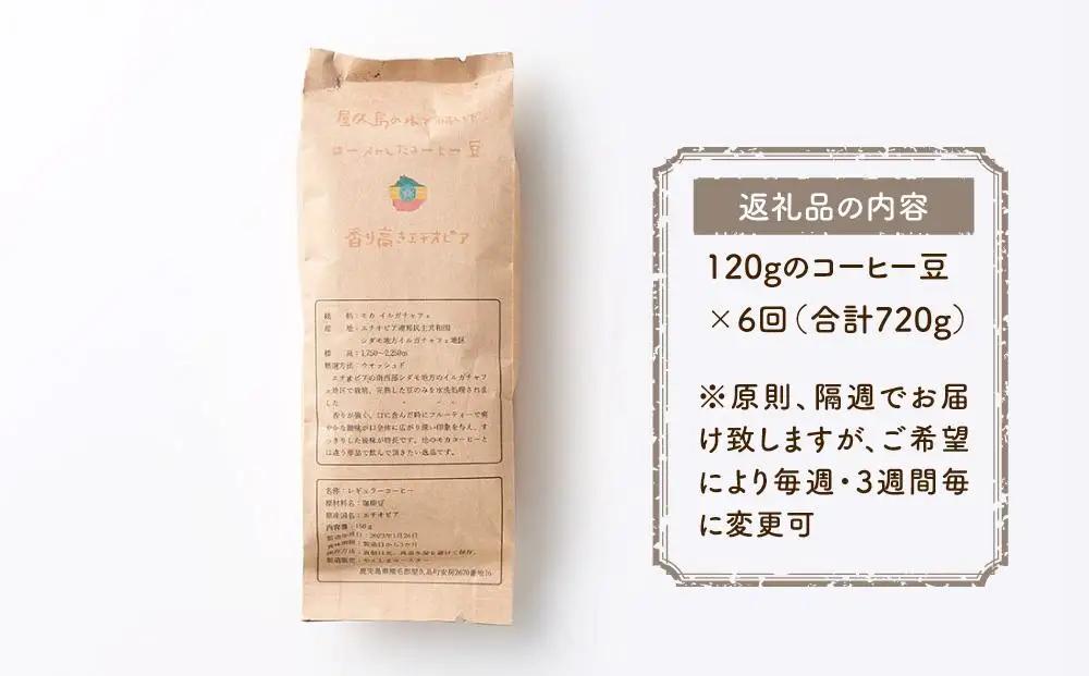 【定期便 全6回】【豆】屋久島の水で磨き、機械を使わずに焙煎するコーヒー豆 | 定期便