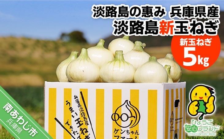 
            【新玉予約！】＼うまい玉ねぎできたでー／ 特別栽培・新玉ねぎ5㎏ ～ひょうご安心ブランド認証取得～◆配送3月中旬～6月中旬
          