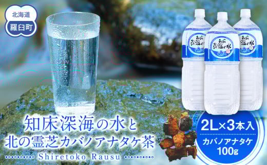 知床深海の水と北の霊芝カバノアナタケ茶セット  海洋深層水 北海道 知床 羅臼 らうす 世界自然遺産 天然 ミネラル マグネシウム 国産 常備水 備蓄 硬水 清涼飲料水 幻 きのこ キノコ お茶 生産者 支援 応
