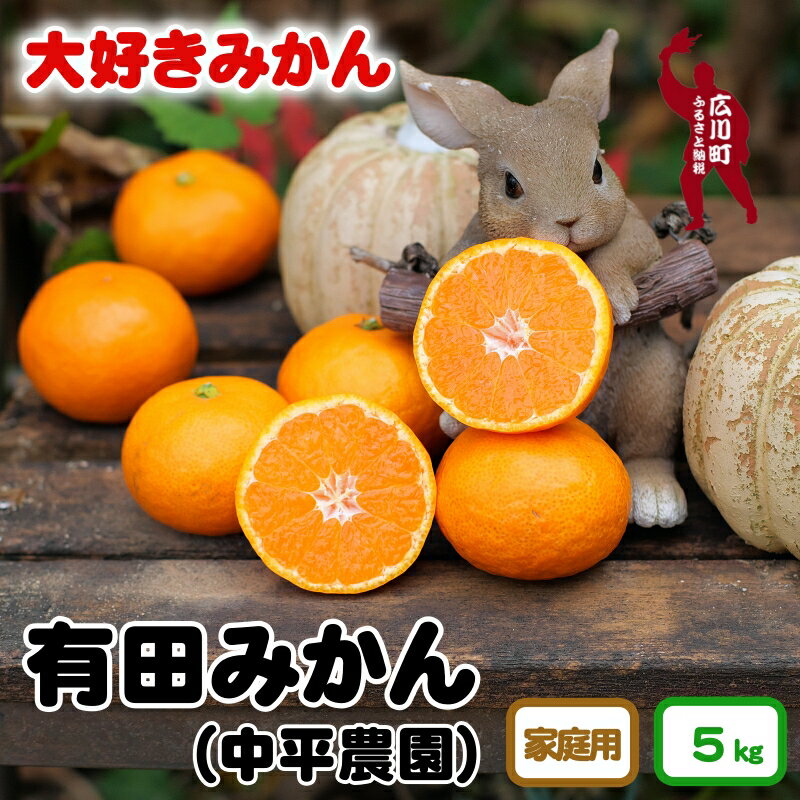 【ふるさと納税】 有田みかん 家庭用 5kg サイズ混合 大好きみかん ※11月中旬から12月下旬頃に順次発送予定 10000円 / 温州みかん みかん 柑橘 果物 くだもの フルーツ 濃厚 和歌山 有田 広川町 //mandarin