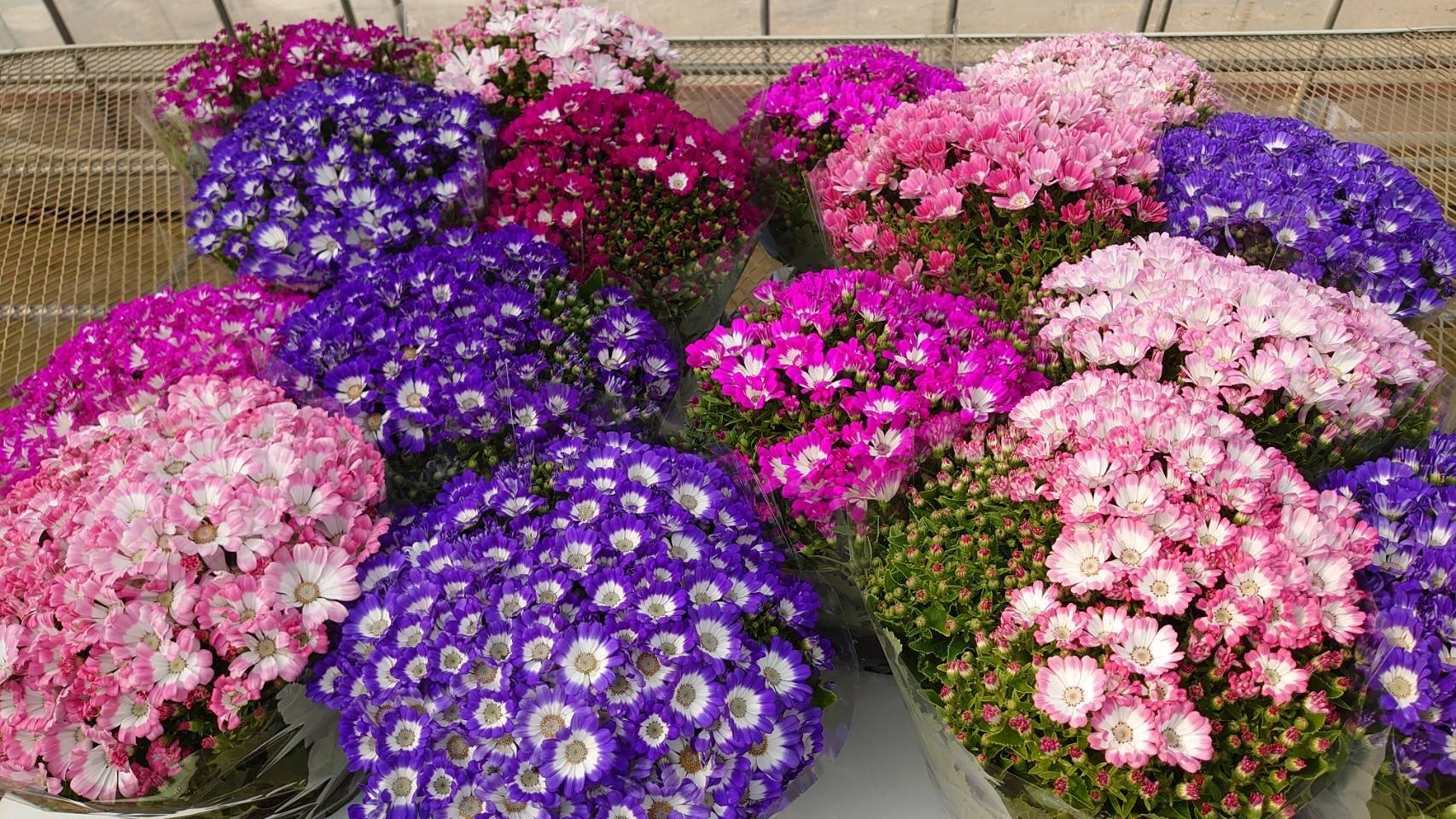 ※写真はイメージです。