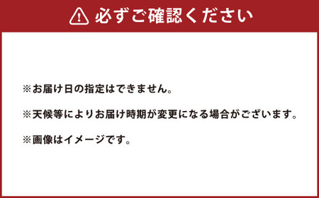 熊本県産 そらまめ 約4kg 3粒以上 80本前後 野菜 豆類 そら豆 【2025年4月上旬‐4月下旬迄発送予定】