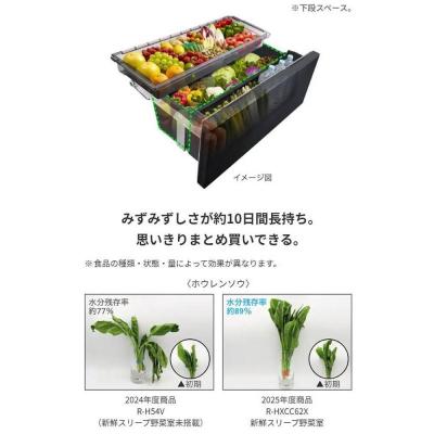 ふるさと納税 栃木市 日立 冷蔵庫【標準設置費込み】 GZCタイプ 6ドア(観音開き) 670L |  | 03