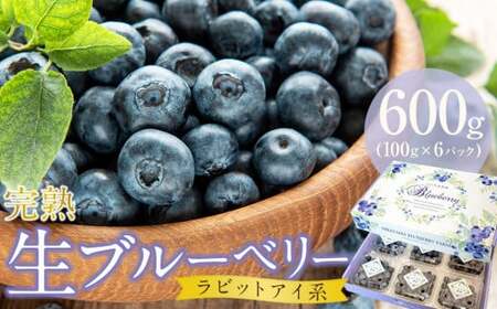 【農家直送】完熟生ブルーベリー（ラビットアイ系）600g（100ｇ×6パック） | こだわりブルーベリー 完熟ブルーベリー 生ブルーベリー 冷蔵ブルーベリー 人気ブルーベリー