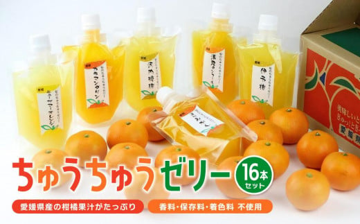 【大人気】 ちゅうちゅうゼリー （175g）×16本セット  果汁 ゼリー 飲料 柑橘 ゼリー パック みかん 果物 ゼリー スイーツ 愛媛県 松山市 おすすめ人気