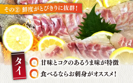 【全12回定期便】タイ 平戸なつ香 約2kg 【坂野水産】[KAA478]