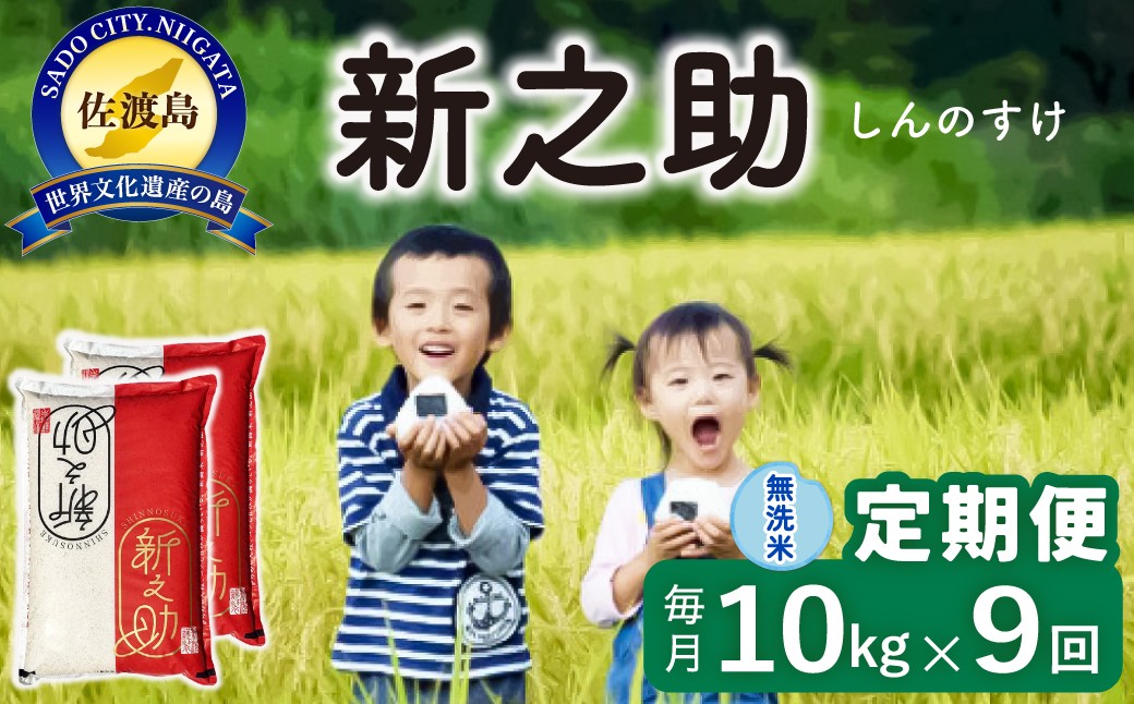 
                  【9か月定期便 新之助】佐渡島産 新之助 無洗米 合計90kg（10kg（5kg×2袋）×全9回）令和8年産 新米 単一原料米 | 新潟県産新之助 新潟産新之助 佐渡産新之助 しんのすけ 新之助 お米 米 無洗米 むせんまい 精米 ブランド米 おこめ コメ 10キロ にいがた さど 新潟県 佐渡市
                