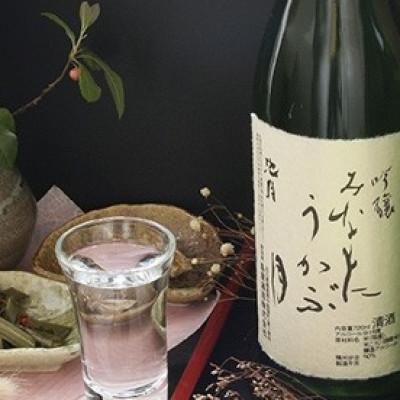 ふるさと納税 中能登町 【鳥屋酒造】能登の酒を味わう! 日本酒「吟醸　みなもにうかぶ月(720ml)」1本
