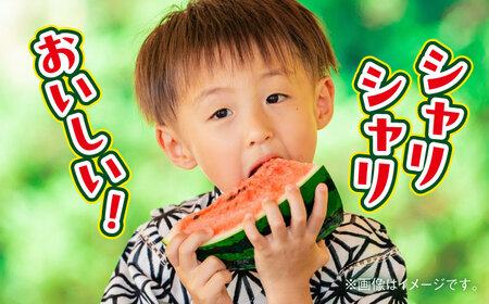 【数量限定】大玉すいか　1玉入り　約5kg【日本フルーツ株式会社】[AYDA003]