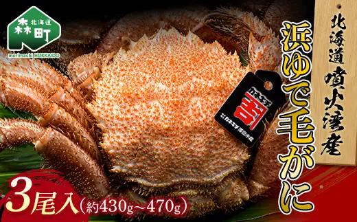 北海道噴火湾産「カネキチ」 浜ゆで毛ガニ 3尾 約430～470g＜カネキチ澤田水産＞ かに カニ 蟹 ガニ がに 森町 ふるさと納税 北海道 毛蟹 毛かに 毛ガニ 毛カニ mr1-1479
