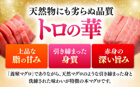 対馬産 本マグロ 200g（赤身100g、中トロ100g） ≪対馬市≫【桐谷商店】 トロの華 対馬 新鮮 マグロ 赤身 トロ 鮪 刺身[WAQ059]