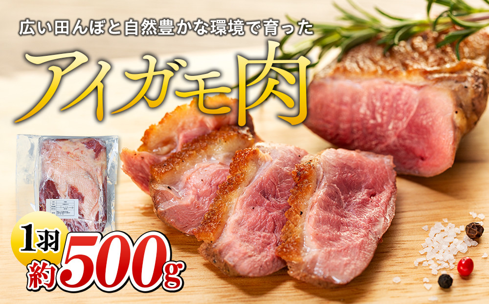 
A01-003 【先行予約受付中】アイガモ肉（生肉）1羽分【令和6年産】
