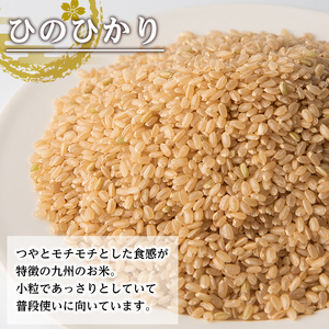 i867-B　食べ比べセット 玄米 (あきほなみ・ひのひかり / 各種3kg×2袋・計4袋・12kg)【田上商店】