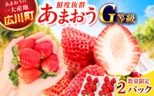 【★先行予約★　2027年2月より発送】あまおうG等級 1ケース（270g×2パック）いちご イチゴ 苺 フルーツ 果物 旬 福岡県産 小分け あまおう 博多 大きい 甘い 広川町 / JAふくおか八女農産物直売所どろや [AFAB069]
