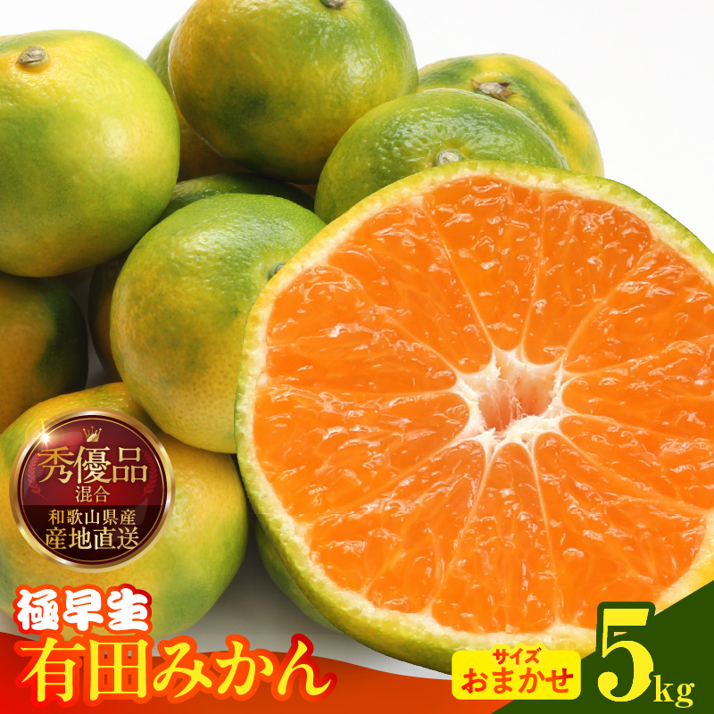 MK1072_【2026年先行予約】みかん 極早生 箱込 5kg ( 内容量4.4kg ) おまかせサイズ（S/M/L）秀品・優品 の混合 有田みかん 和歌山県産