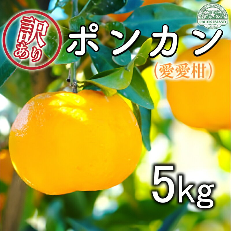 【ふるさと納税】 先行予約 訳あり ポンカン 約5kg 愛愛柑 10000円 わけあり ぽんかん みかん 蜜柑 果物 くだもの 果実 柑橘 ミカン mikan フルーツ ゼリー ジュース 甘い ジューシー デザート ブランド 特産品 国産 産直 産地直送 ビタミン 美容 健康 糖度 愛媛県 愛南町
