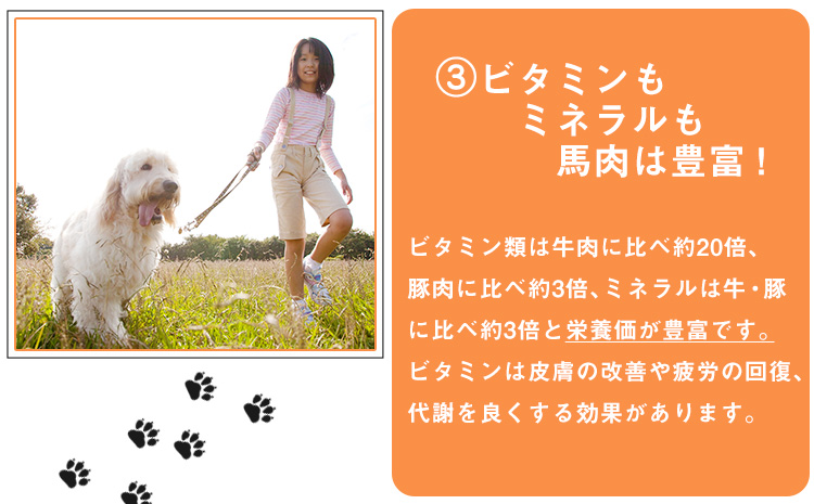 ウチのこのおやつ（馬肉のドッグフード） 長洲町L（桜屋） 《90日以内に出荷予定(土日祝除く)》 ---sn_501dog_90d_22_10000_175g---st-p