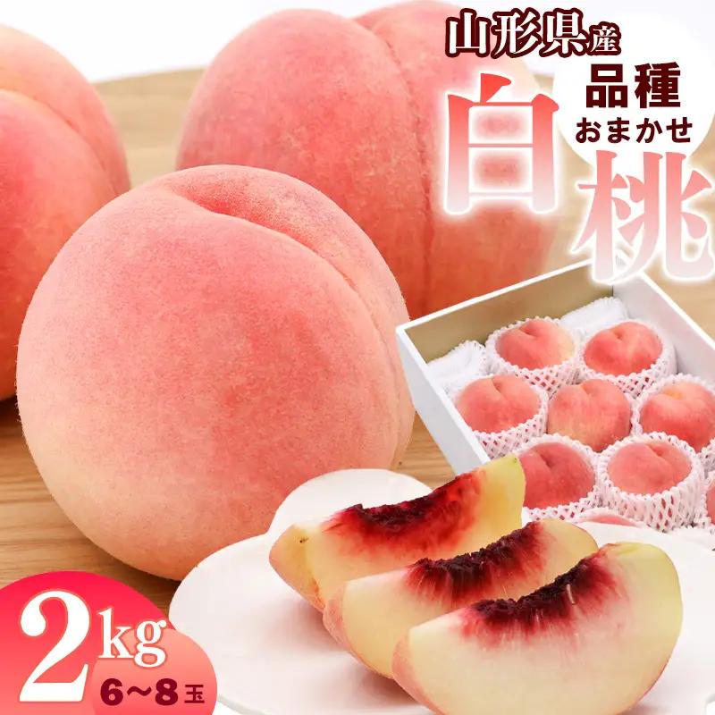 令和8年産 山形県産 白桃 2kg 品種 おまかせ 秀品 山形県産 【2026年8月上旬頃から9月下旬頃発送予定】　010-B-JA047