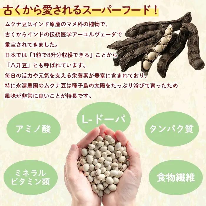 ムクナ豆 100g 八升 ハッショウマメ 【永濱農園】n427