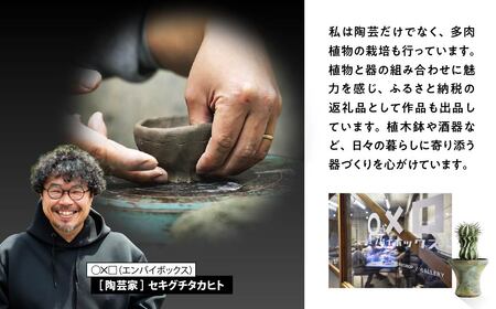 ウェットシェルター 爬虫類 | ﾄｶｹﾞ ﾄｶｹﾞ ﾄｶｹﾞ ﾄｶｹﾞ ﾄｶｹﾞ ﾄｶｹﾞ セキグチタカヒト 埼玉県 北本市