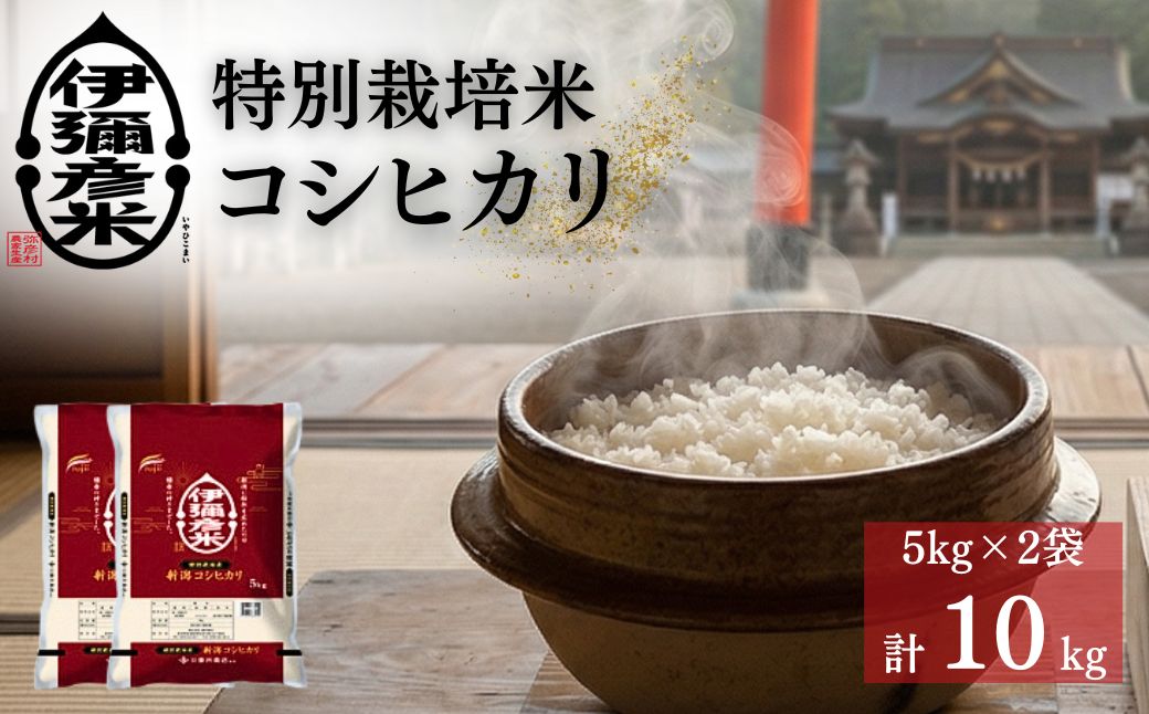 令和7年産特別栽培米コシヒカリ「伊彌彦米」10kg | ブランド米 新潟県 弥彦村