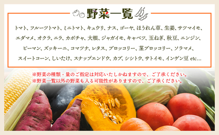 【６回定期便】やすらぎ市 産地直送やさいＢＯＸ（7種類前後） - 野菜 ベジタブル おまかせ 詰め合わせ セット 季節 旬 お任せ お楽しみ ヘルシー 国産 特産品 野菜定期便野菜定期便野菜定期便野菜