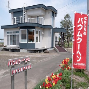 バウムクーヘン詰め合わせ（20個入り）オレンジ・メープル・紅茶・ラム酒・シナモン・クルミ【AL-002】