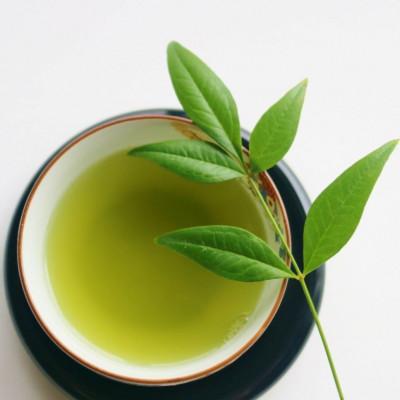 ふるさと納税 広川町 八女茶【上】煎茶セット　100g×2袋(広川町) |  | 03